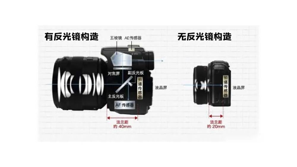 2020年萌新小白怎么买相机？单反无反该如何选购？摄影器材指南！
