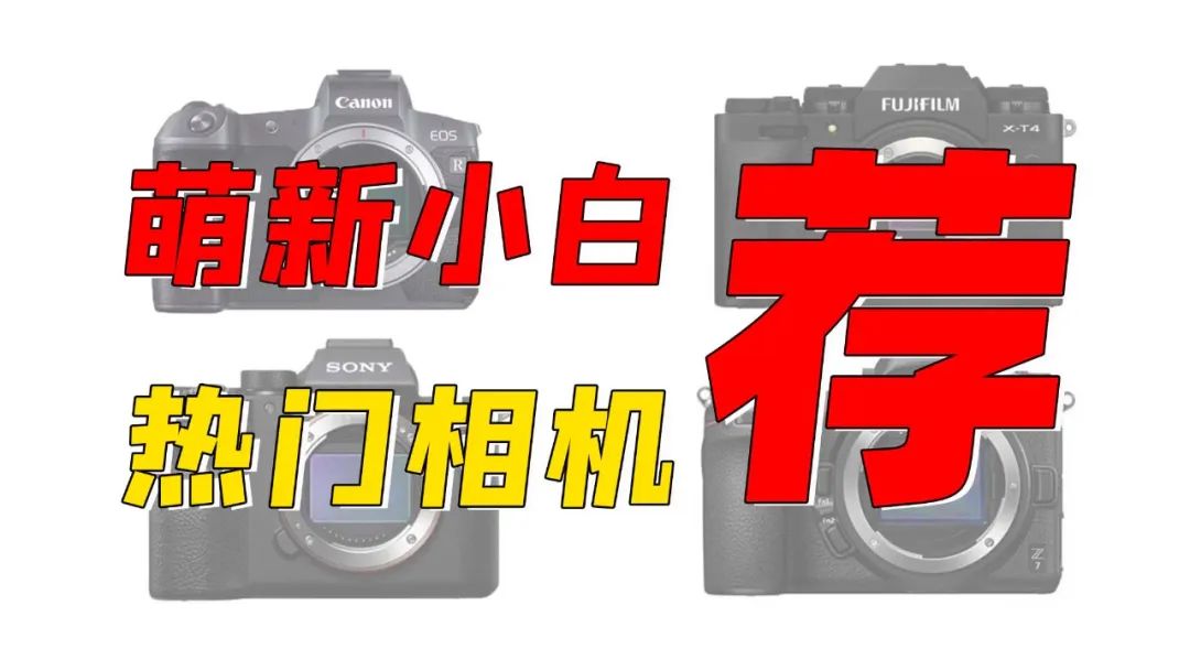 2020年热门相机推荐！萌新小白买相机！摄影器材指南！