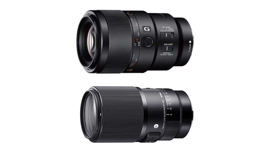 从拍照摄像对焦画质全面评价新款无反版适马105mm F2.8微距镜头！