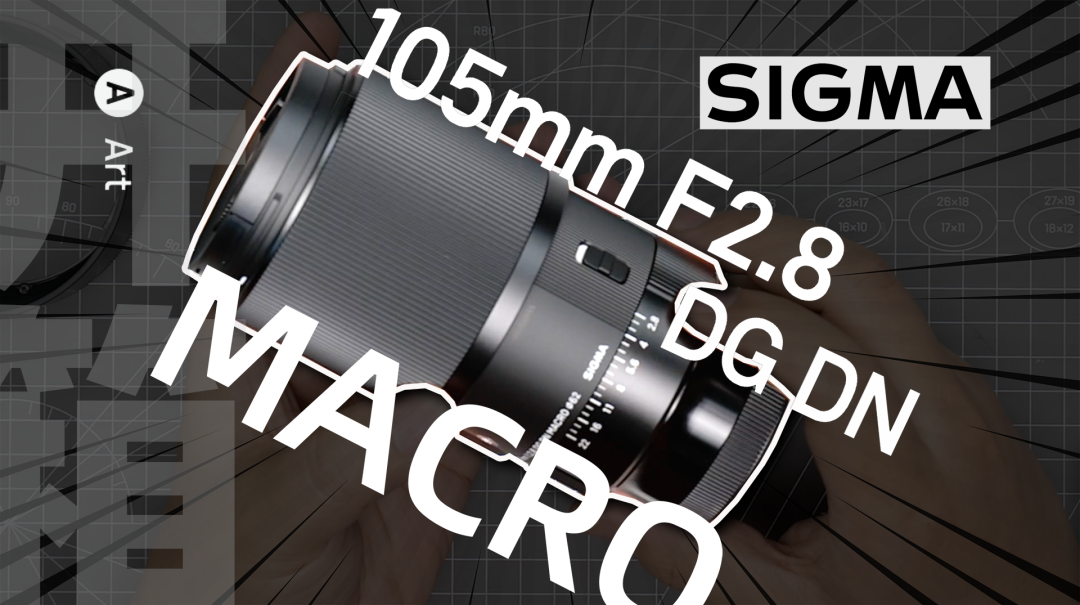 从拍照摄像对焦画质全面评价新款无反版适马105mm F2.8微距镜头！